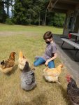 We LOVE Our Chickens!
